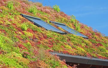 Ballykinler living roof systems