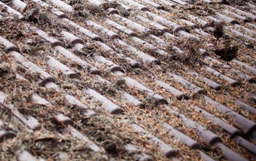 Ballykinler roof cleaning companies