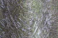 Ballykinler fibreglass roof work