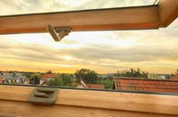 rated Ballykinler roof window companies